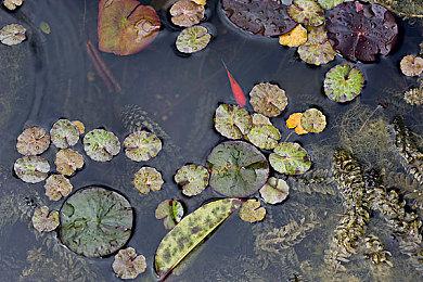 《迷失》制作厂商Annupurna将于7月底举行发布会